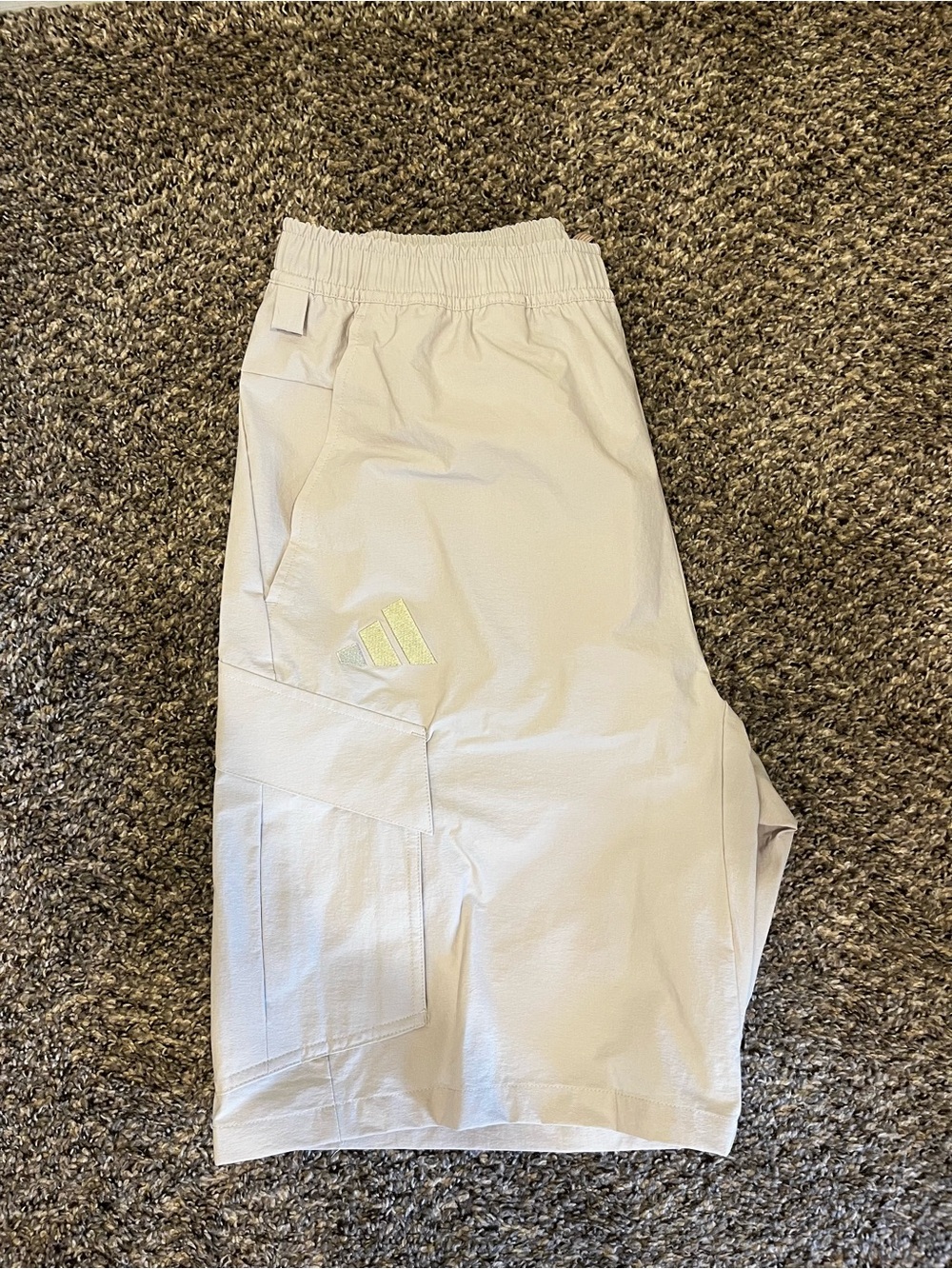 Adidas Terrex Xploric Cargo Short